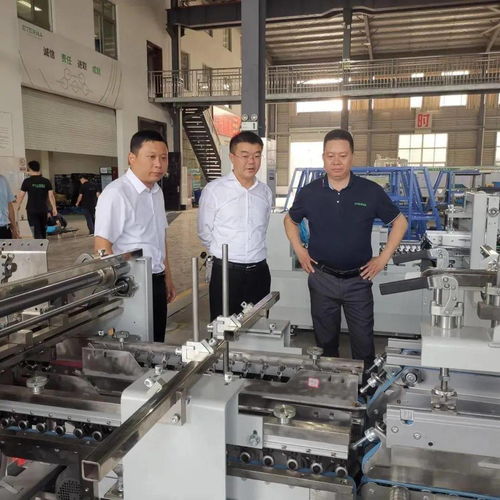 副市长崔恒荣来我镇印刷包装机械产业园考察调研