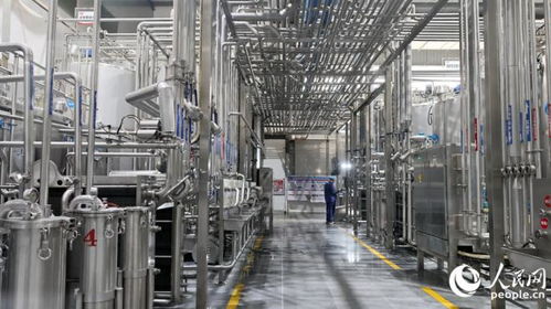 盼盼饮料 插上科技创新的 翅膀 ,从 解渴 到 喝健康