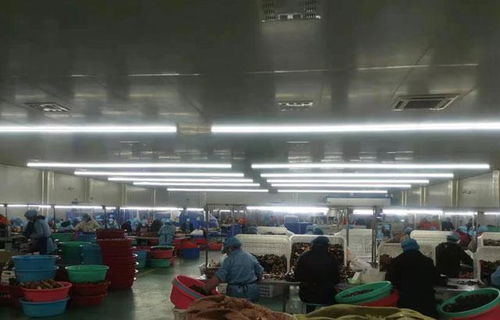 走进百亿工厂 那些年食品集团如何用机械科技重塑生产版图